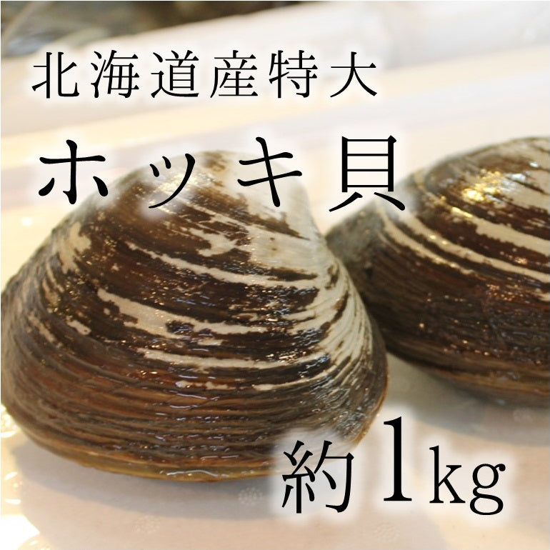 活ホッキ貝北海道産 Lサイズ 超特大 殻付き　２個　　★ 1個500g