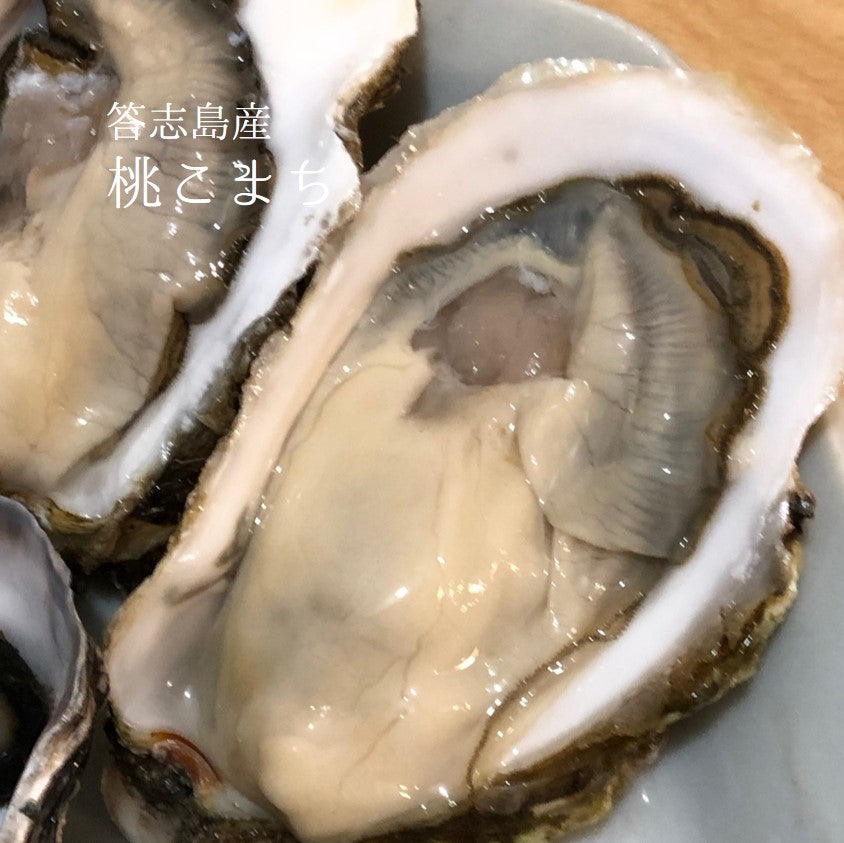 鮮魚通販［豊洲 Okawari 鮮魚店］殻付き牡蠣 桃こまち 三重県答志島産