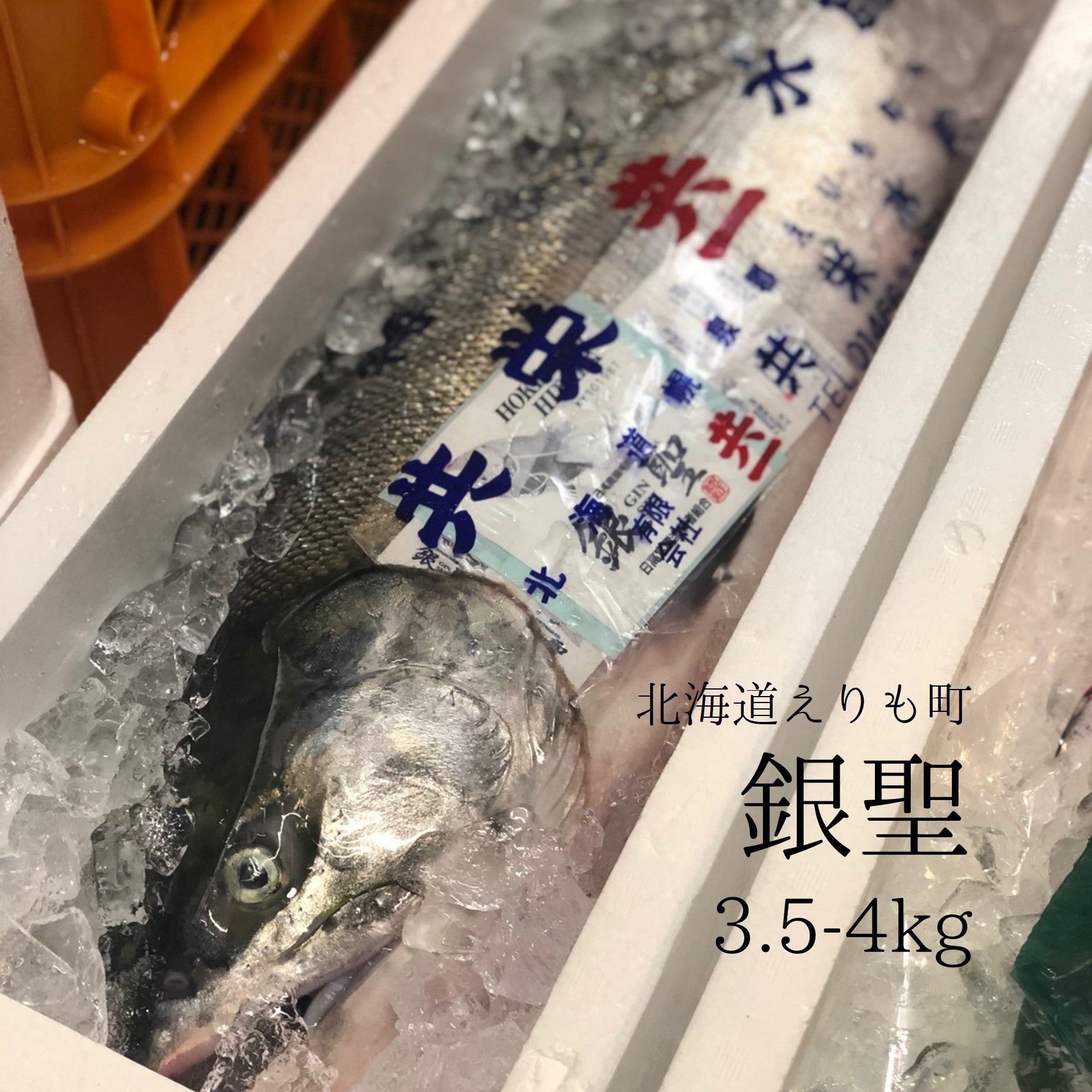 鮮魚通販［豊洲 Okawari 鮮魚店］究極の秋鮭 銀聖 メス 北海道幌泉郡