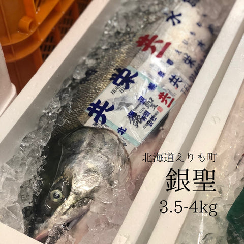 鮮魚通販［豊洲 Okawari鮮魚店］銀聖　秋鮭