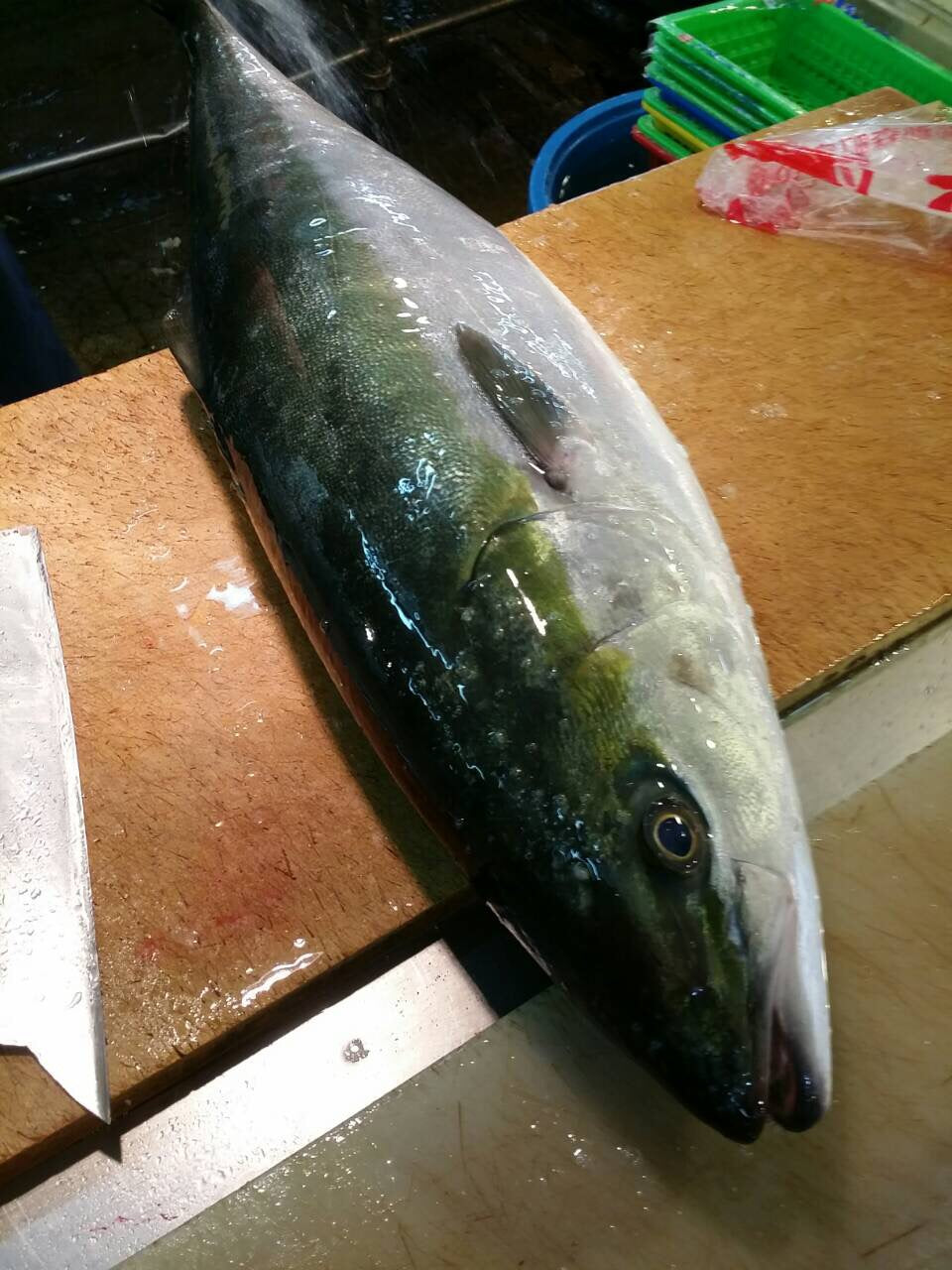 鮮魚通販［豊洲 Okawari鮮魚店］寒ブリ 天然ブリ 日本海産他（北海道・佐渡・九州・三重他）丸一本 約10-11kg 鮮魚 刺身 【寒ブリ 丸一本】豊洲直送 冷蔵 – 豊洲おかわり鮮魚店