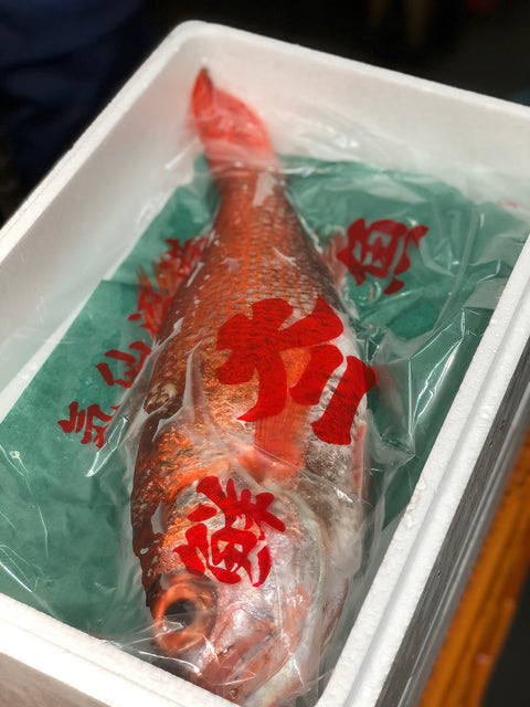 生 のどぐろ 喉黒 赤むつ 超特大サイズ （豊洲直送）特大約1kg 国産（三陸・新潟・山口・島根・千葉他）アカムツ ギフト 鮮魚 刺身 ノドグロ【生のどぐろ1kg】 冷蔵