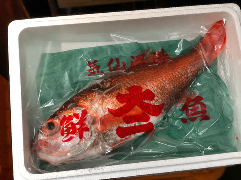 生 のどぐろ 喉黒 赤むつ 超特大サイズ （豊洲直送）特大約1kg 国産（三陸・新潟・山口・島根・千葉他）アカムツ ギフト 鮮魚 刺身 ノドグロ【生のどぐろ1kg】 冷蔵