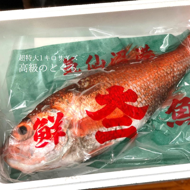 鮮魚通販［豊洲 Okawari鮮魚店］生 のどぐろ 喉黒 赤むつ 超特大サイズ （豊洲直送）特大約1kg 国産（三陸・鳥取・山口・島根他）アカムツ  ギフト 鮮魚 刺身 ノドグロ【生のどぐろ1kg】 冷蔵 – 豊洲おかわり鮮魚店