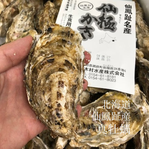 仙鳳趾産 殻付き牡蠣 生食用 小サイズ10個（1個約50-100g）豊洲直送 北海道産 カキ かき【仙鳳趾_小x10個】 冷蔵