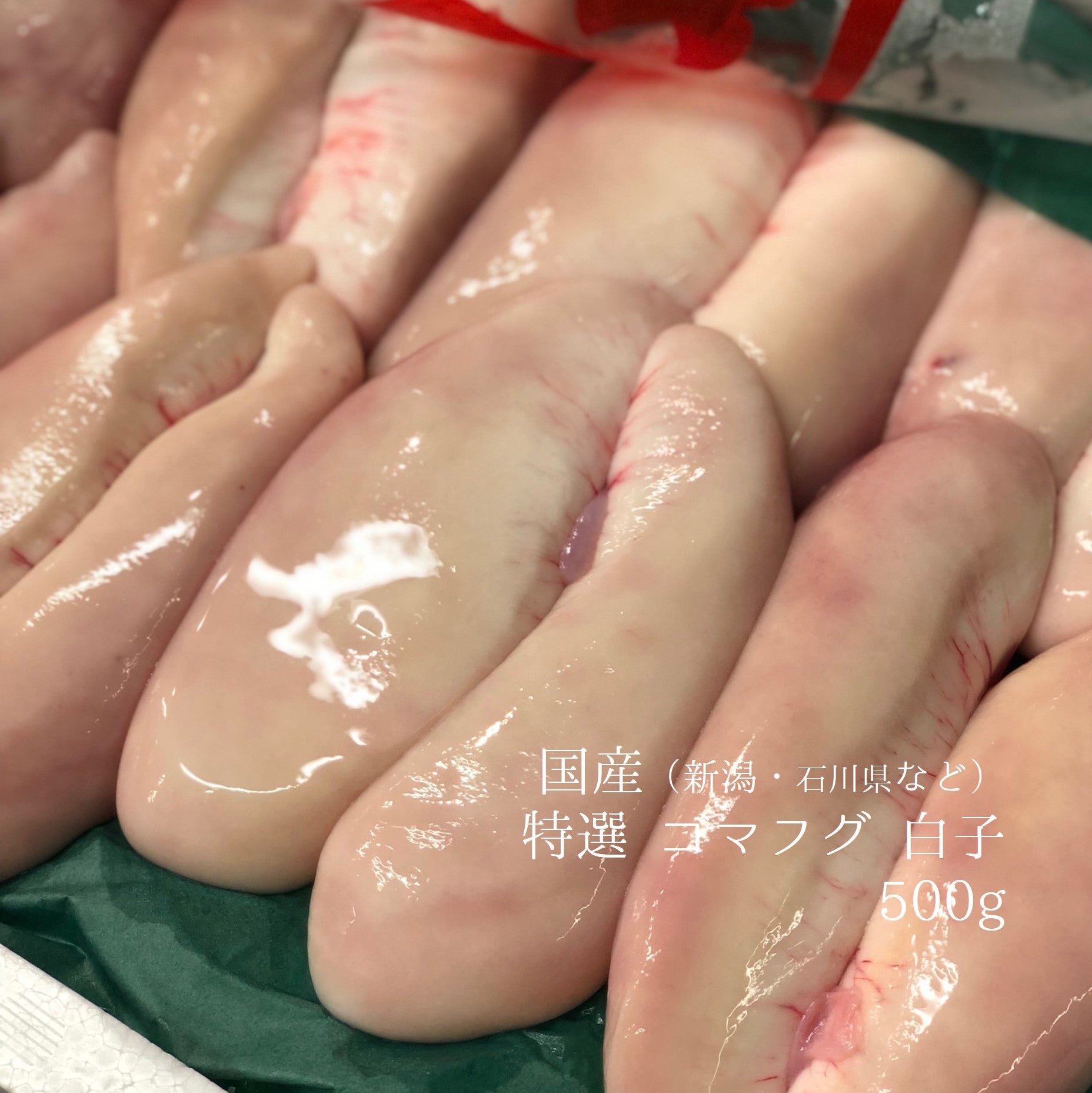 鮮魚通販［豊洲 Okawari 鮮魚店］生 ゴマフグ 白子 500g 国産（新潟県