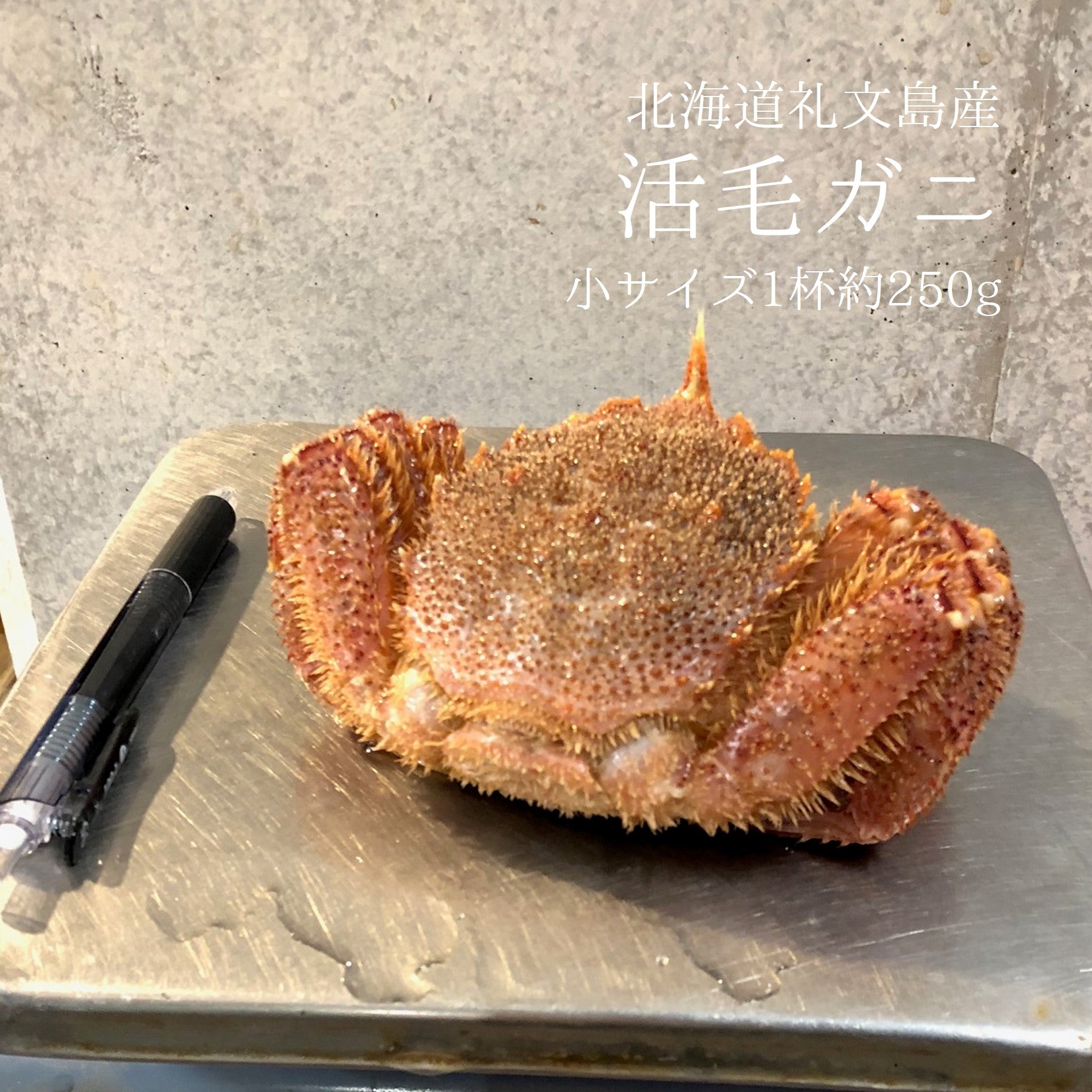 蟹・海老 – 豊洲おかわり鮮魚店