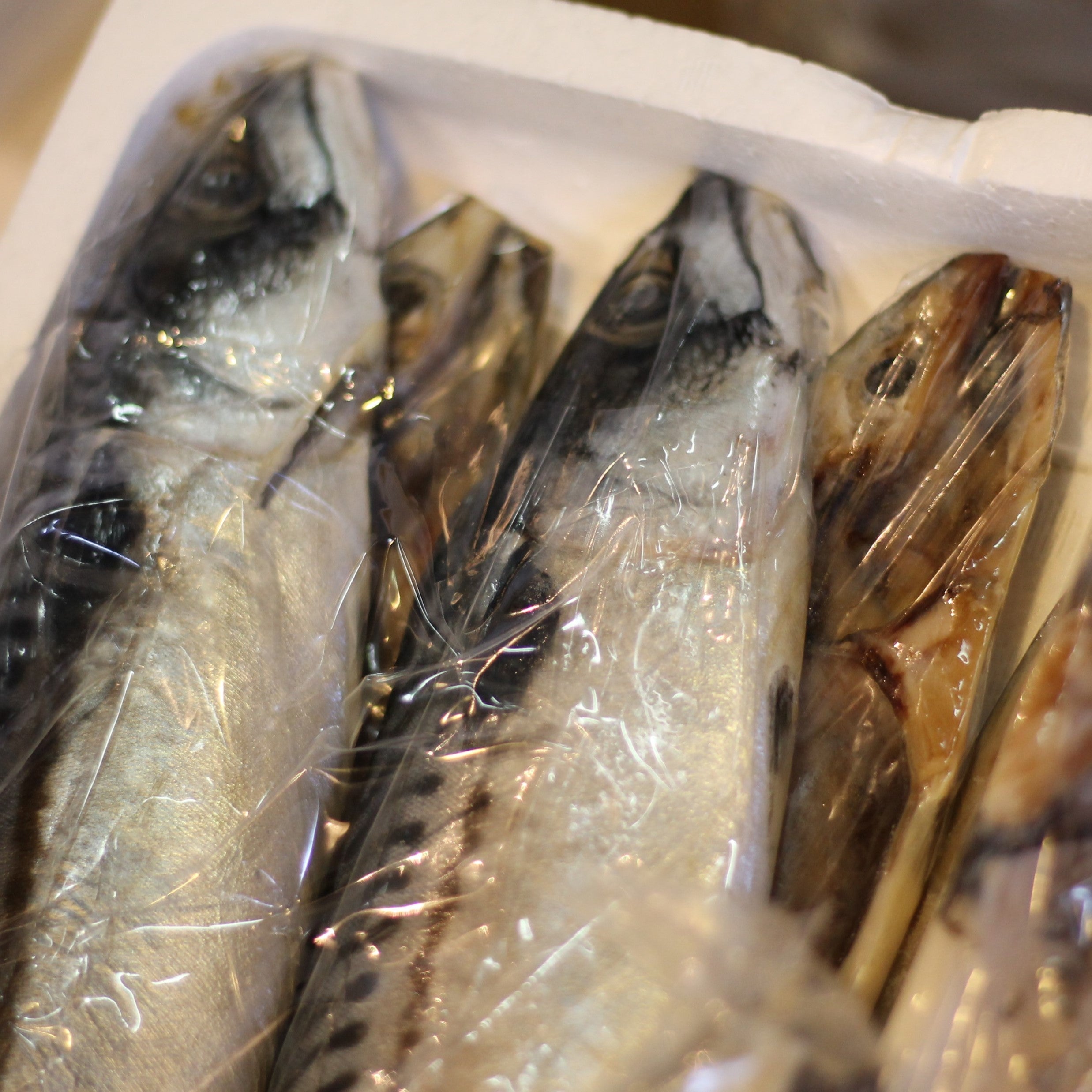 豊洲の目利き干物6種セット 冷凍 - 魚介