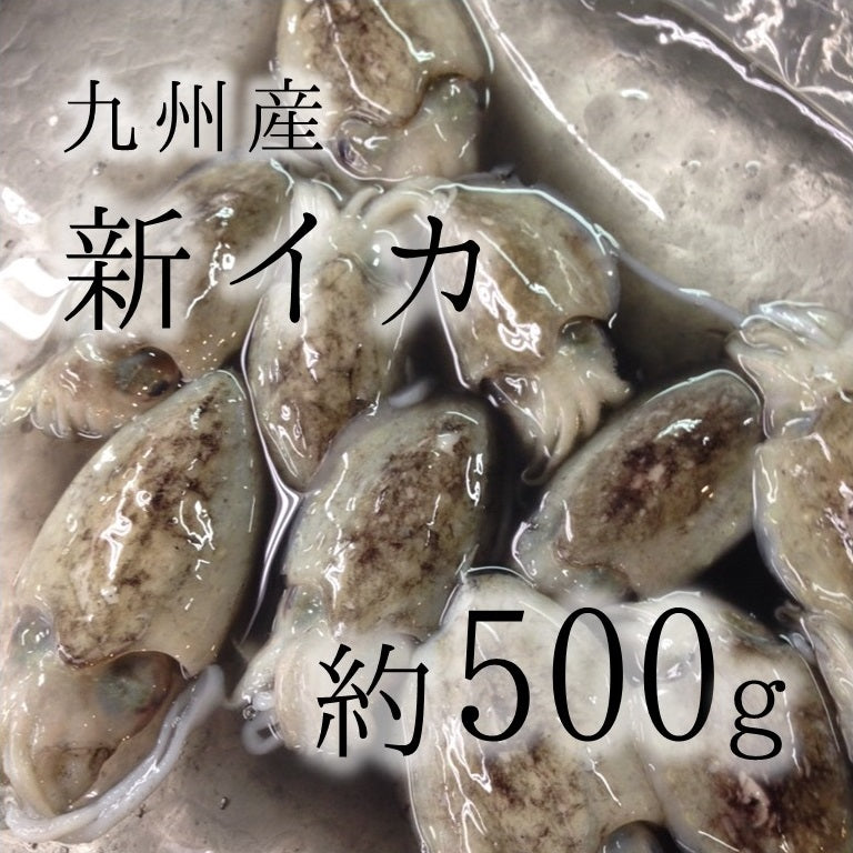 千葉産　すみイカ　１kg １枚約200〜300g